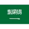Saudi Arabia logo