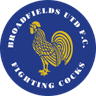Brockenhurst logo