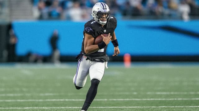Carolina Panthers image